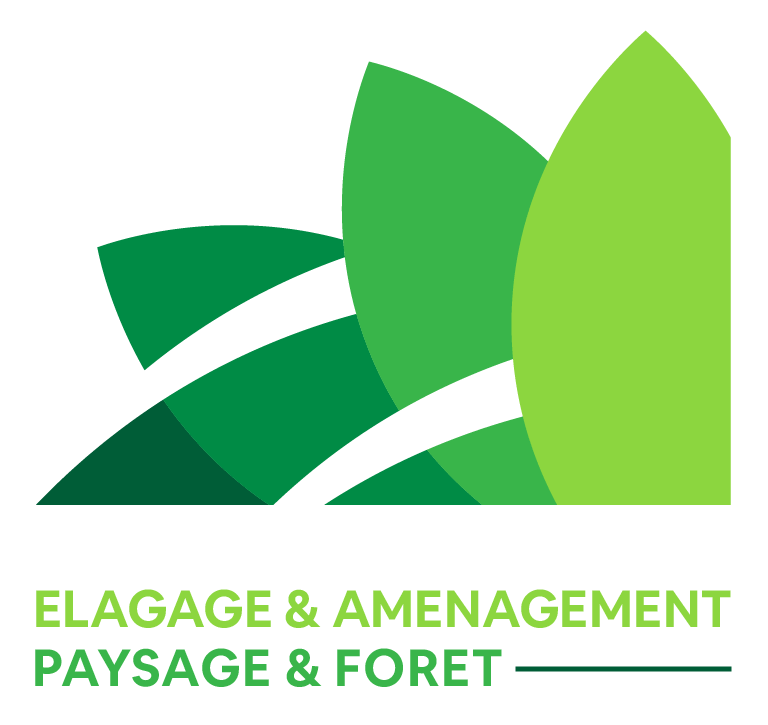 elagage amenagement paysage foret pays basque - 1